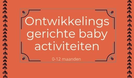120 ontwikkelings gerichte baby activiteiten 0-12 maanden