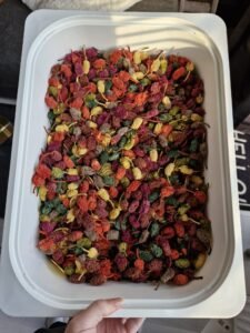 Rust tijdens Sinterklaas: zo pak je overprikkeling aan bij jonge kinderen