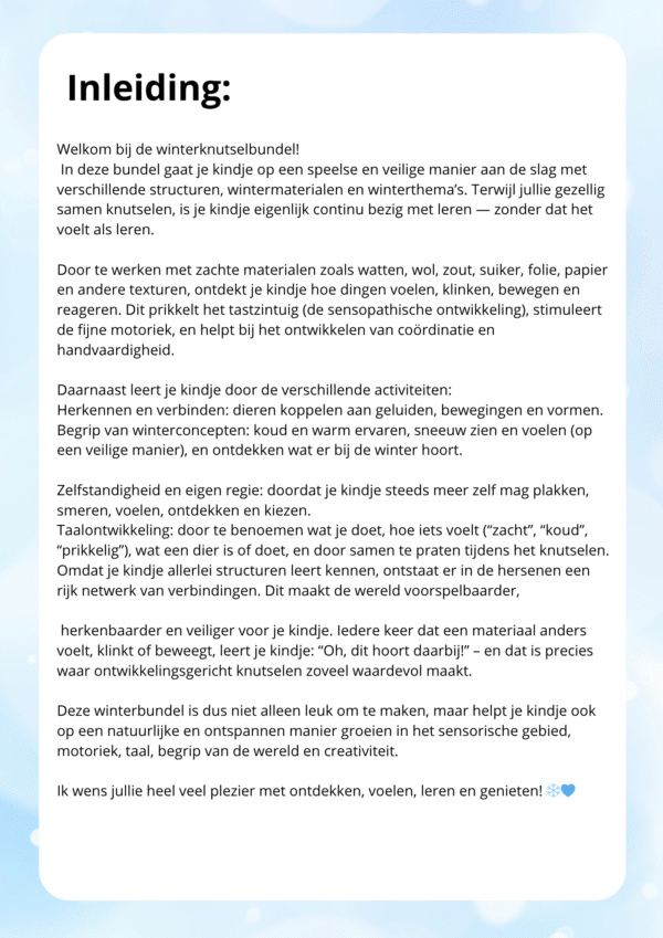 Winter knutselbundel dreumes