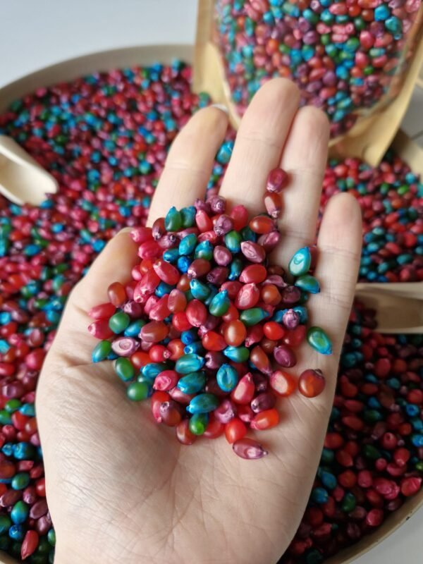 WhatsApp Image 2026-01-04 at 17.28.24 (2) Sensorische maïs (Galaxy)