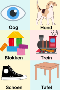 eerste 100 woorden kaartjes