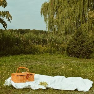 picknicken met mama en baby en baby nieuwe smaken laten proeven