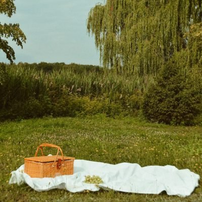 picknicken met mama en baby en baby nieuwe smaken laten proeven