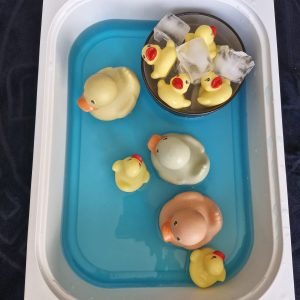 Sensorisch water met bevroren eendjes om mee te spelen als baby en dreumes