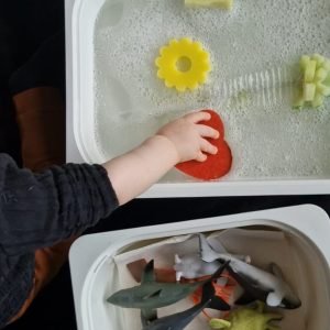 WhatsApp Image 2025-05-29 at 15.56.32 (1)