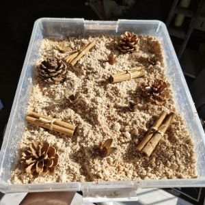 Dreumes activiteiten 18-24 maanden _ spelenderwijs leren