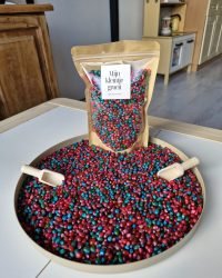 Sensorische maïs (Galaxy)