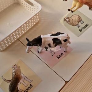 Dreumes activiteiten