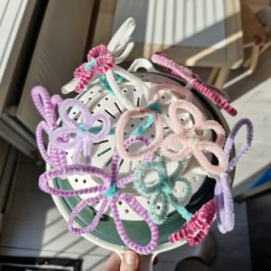 Dreumes activiteiten